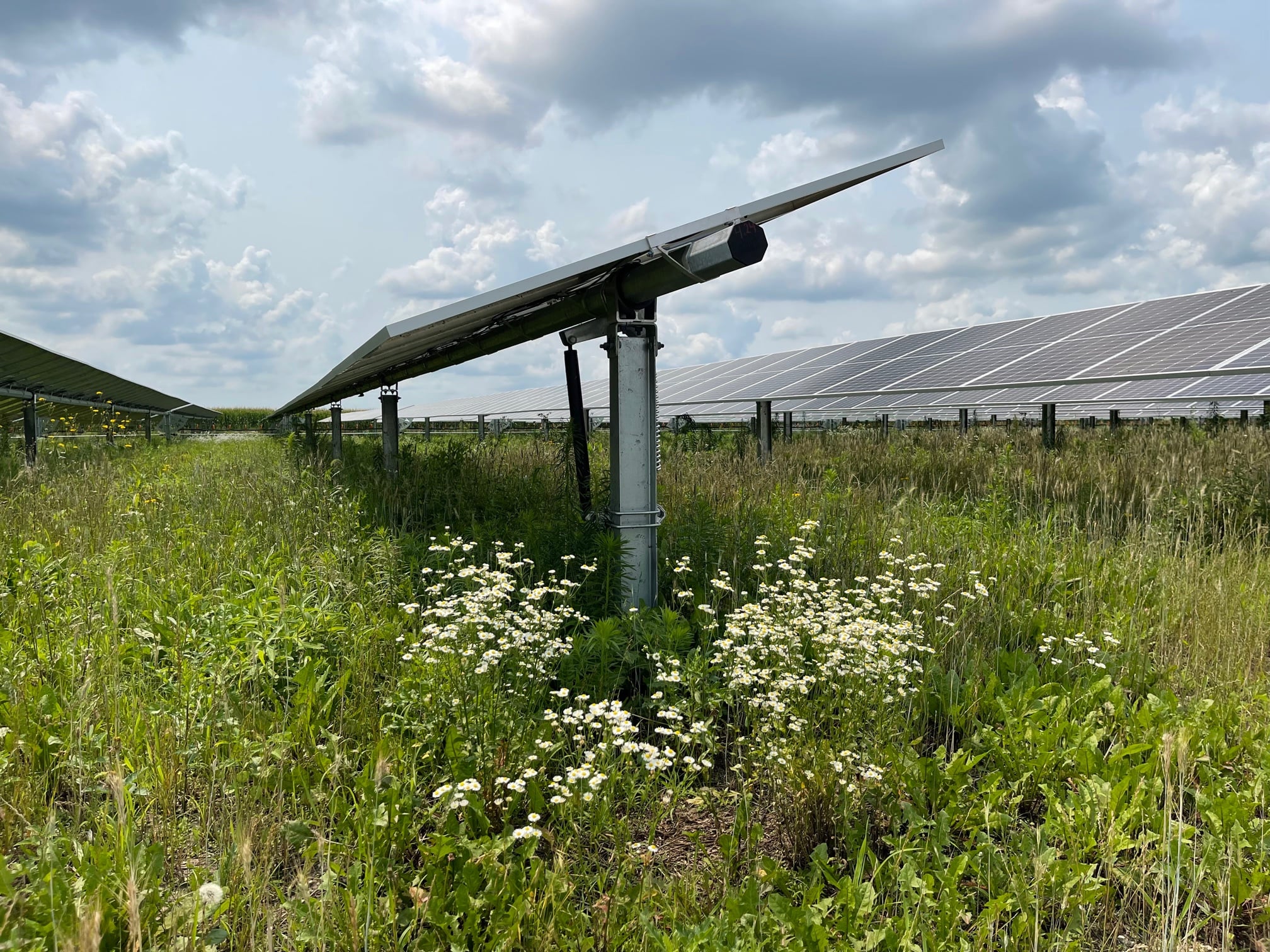 Agri-solar